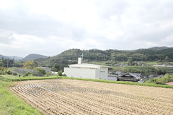 豊かな田園風景に佇む家