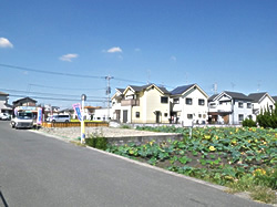 蓮池に隣接した土地。