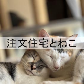 設計ねこ
